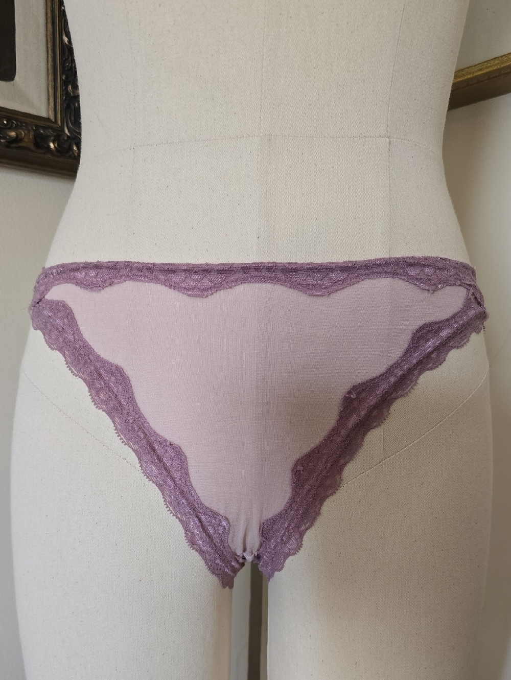 Mary Green Lavender Silk Gauze Bikini panties Size Medium NOS